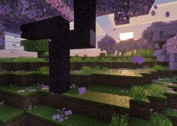 Minecraft: Vibrant Visuals Bring Your Imagination to Life